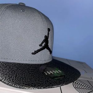 Nike Air Jordan Hat (Grey)